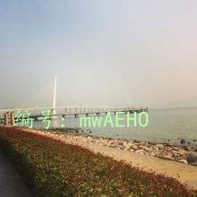 Ҿ