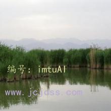 ĩ
