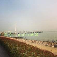 ΢
