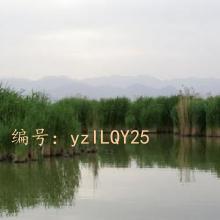 Ŀ